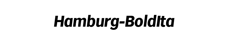 Hamburg-BoldIta font preview