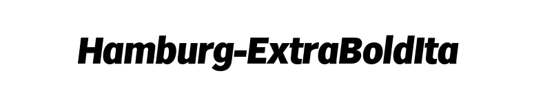 Hamburg-ExtraBoldIta font preview