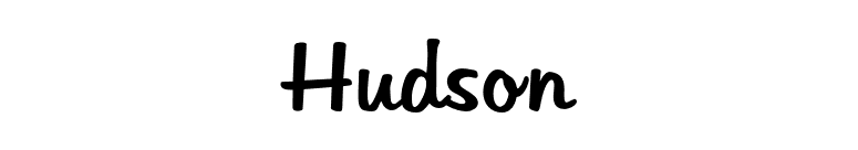 Hudson font preview