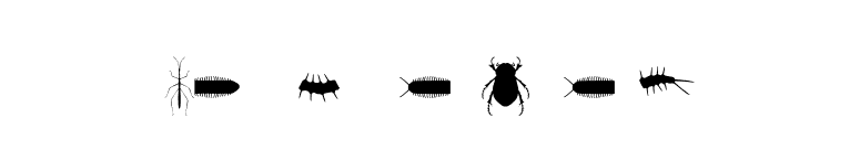 InsectileSolid font preview