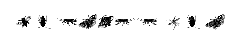 insects one font preview