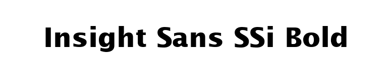 Insight Sans SSi Bold font preview