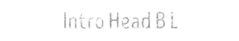 Intro Head B L font preview