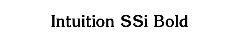 Intuition SSi Bold font preview