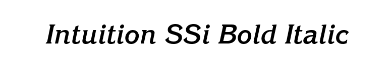 Intuition SSi Bold Italic font preview
