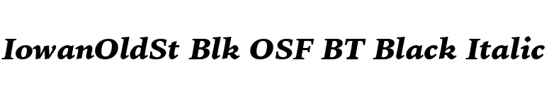 IowanOldSt Blk OSF BT Black Italic font preview