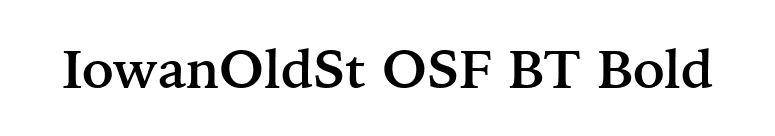 IowanOldSt OSF BT Bold font preview