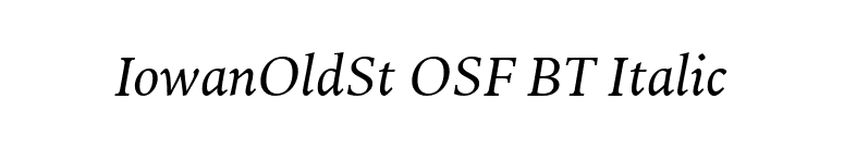 IowanOldSt OSF BT Italic font preview