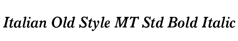 Italian Old Style MT Std Bold Italic font preview