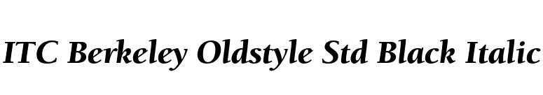 ITC Berkeley Oldstyle Std Black Italic font preview
