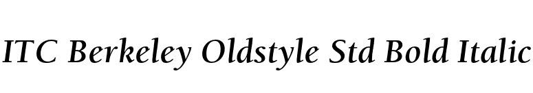 ITC Berkeley Oldstyle Std Bold Italic font preview