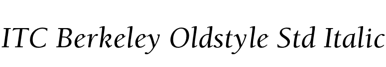 ITC Berkeley Oldstyle Std Italic font preview