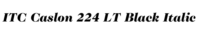 ITC Caslon 224 LT Black Italic font preview