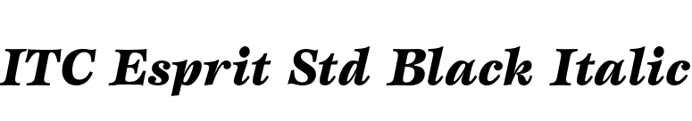 ITC Esprit Std Black Italic font preview