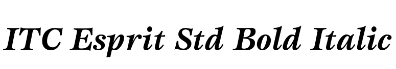 ITC Esprit Std Bold Italic font preview