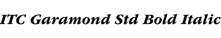 ITC Garamond Std Bold Italic font preview