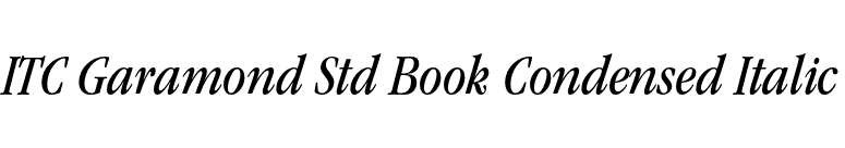 ITC Garamond Std Book Condensed Italic font preview