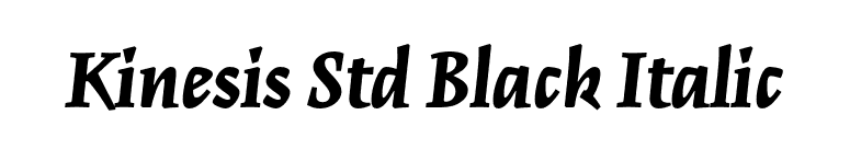 Kinesis Std Black Italic font preview