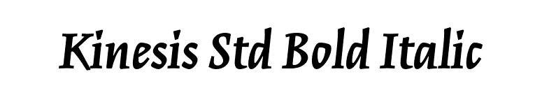 Kinesis Std Bold Italic font preview