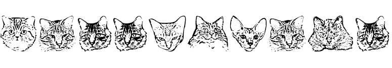 KittyPrint font preview