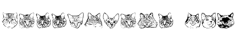 KittyPrint AOE font preview