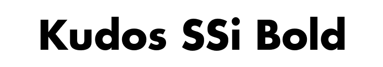 Kudos SSi Bold font preview