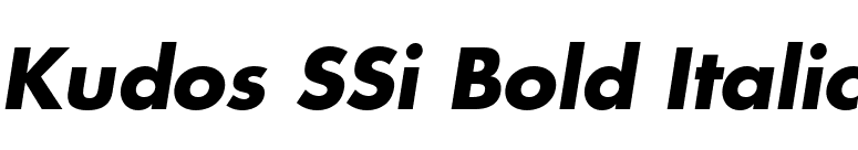 Kudos SSi Bold Italic font preview