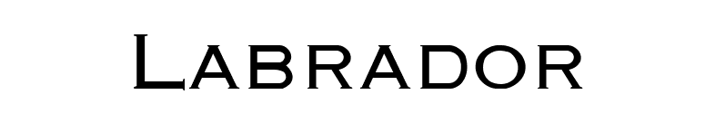 Labrador font preview