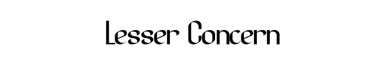 Lesser Concern font preview
