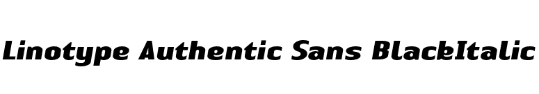 Linotype Authentic Sans BlackItalic font preview