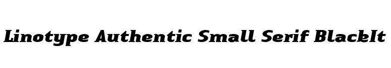 Linotype Authentic Small Serif BlackIt font preview