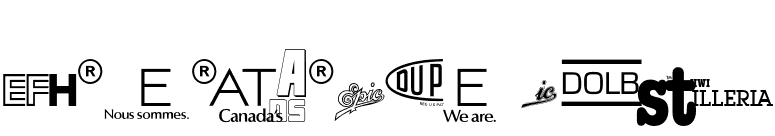 LogosCompanyP06 font preview
