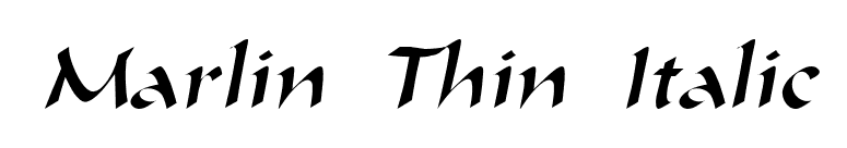 Marlin Thin Italic font preview