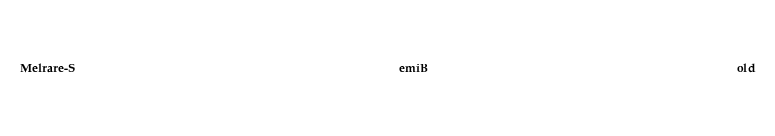 Melrare-SemiBold font preview