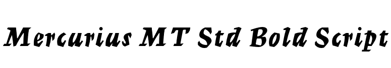 Mercurius MT Std Bold Script font preview
