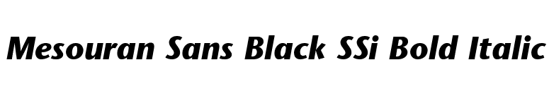 Mesouran Sans Black SSi Bold Italic font preview