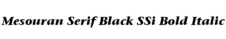 Mesouran Serif Black SSi Bold Italic font preview