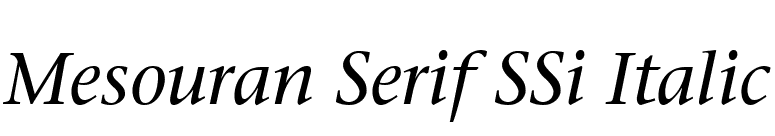 Mesouran Serif SSi Italic font preview
