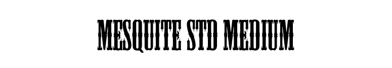 Mesquite Std Medium font preview