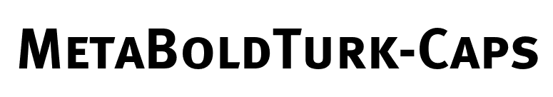 MetaBoldTurk-Caps font preview