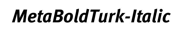MetaBoldTurk-Italic font preview