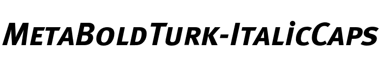 MetaBoldTurk-ItalicCaps font preview