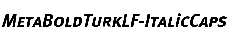 MetaBoldTurkLF-ItalicCaps font preview