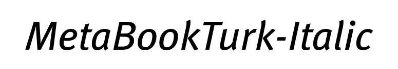 MetaBookTurk-Italic font preview
