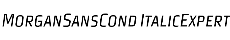 MorganSansCond ItalicExpert font preview