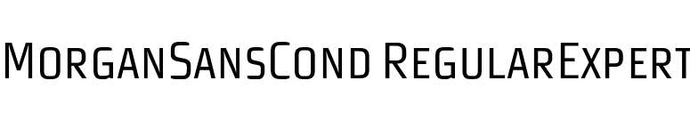 MorganSansCond RegularExpert font preview