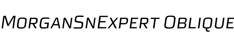 MorganSnExpert Oblique font preview