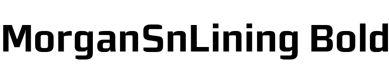 MorganSnLining Bold font preview