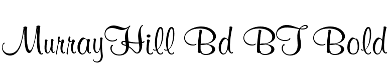 MurrayHill Bd BT Bold font preview
