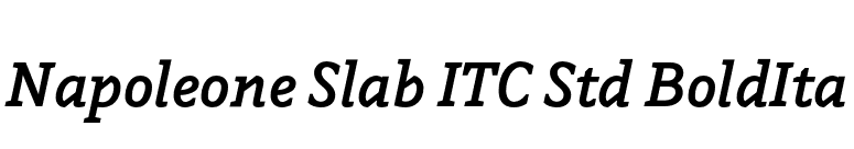 Napoleone Slab ITC Std BoldIta font preview